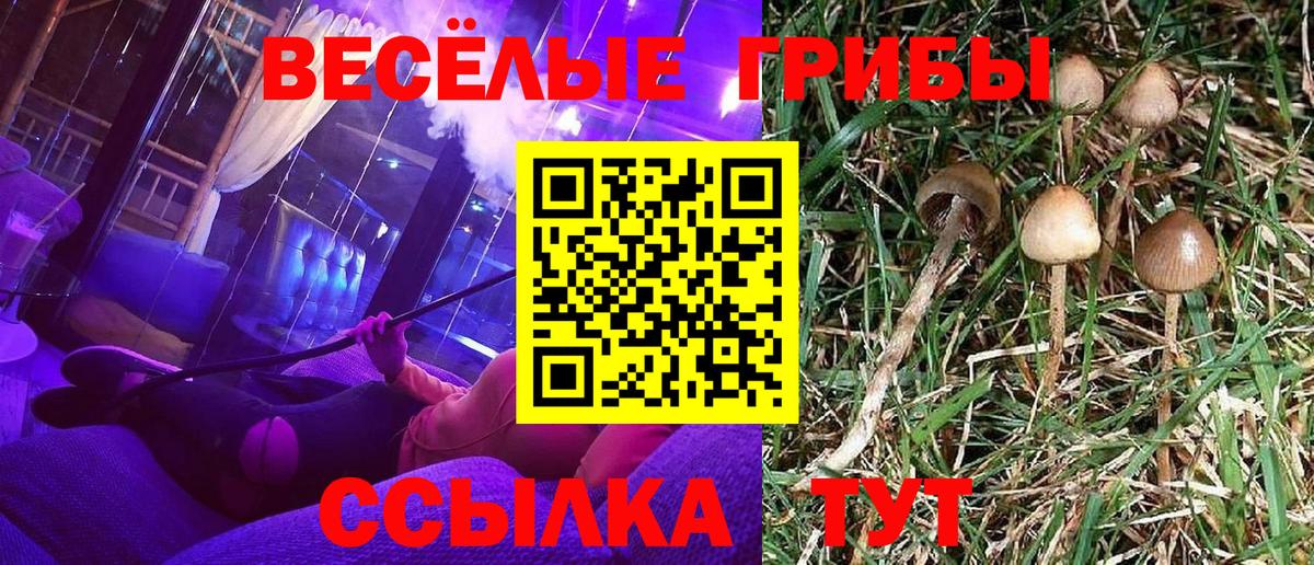 Улан-Удэ  Псилоцибиновые грибы Cubensis  Вход с VPN 